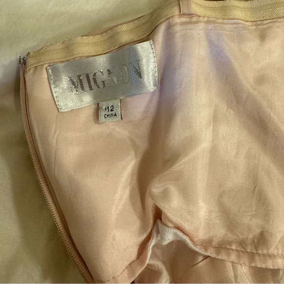 Mignon Dusty Rose Pink Rosette Evening Gown / Bridal Gown - Size: 12 - Picture 14 of 15